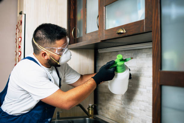 Best Pest Prevention Services  in Country Knolls, NY