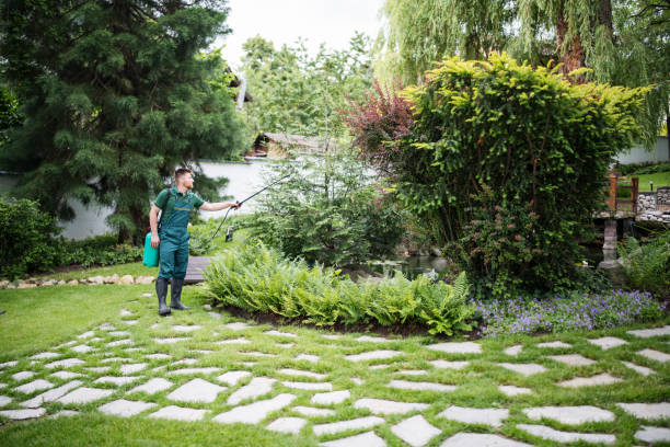 Best Affordable Pest Control Services  in Country Knolls, NY