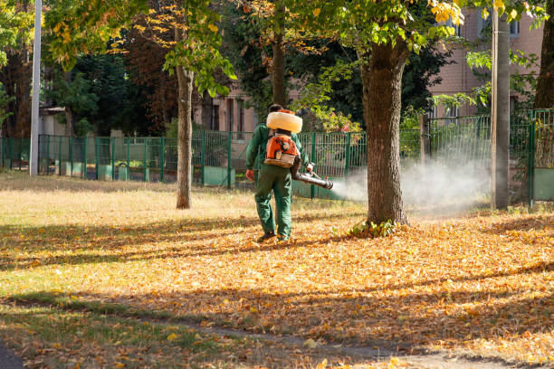 Best Mosquito Control Services  in Country Knolls, NY
